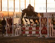 CAletto della Verdina TosTour2013- S5 3167 : Arezzo, Arezzo Equestrian Centre, Caletto della Verdina, Cavalli d'Italia, Toscana Tour 2013, foto di Stefano Secchi ©